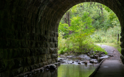 Learning More About Spear Phishing Can Protect You From Those With Malicious Intent