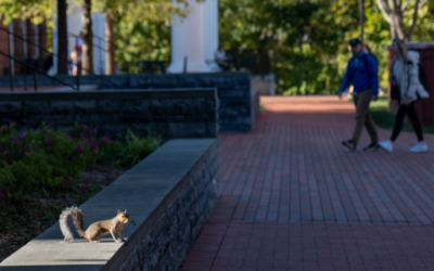 Password Policy Change Coming on May 3rd, 2021