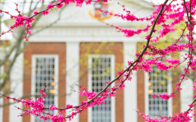 Security Tips From May 2021