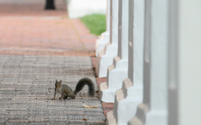 Security Awareness Tips From June 2021