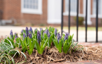 Security Awareness Tips for March 2022