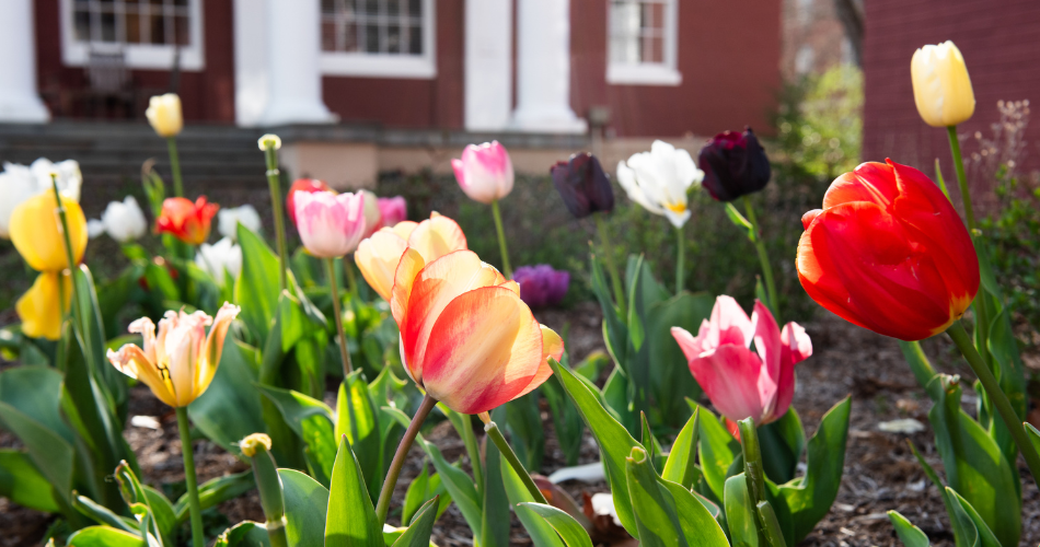 April 2025: All Things Event Planning