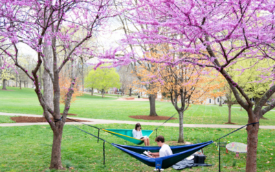 April 2026 Newsletter – Noteworthy Tools to Capture & Organize Your Work