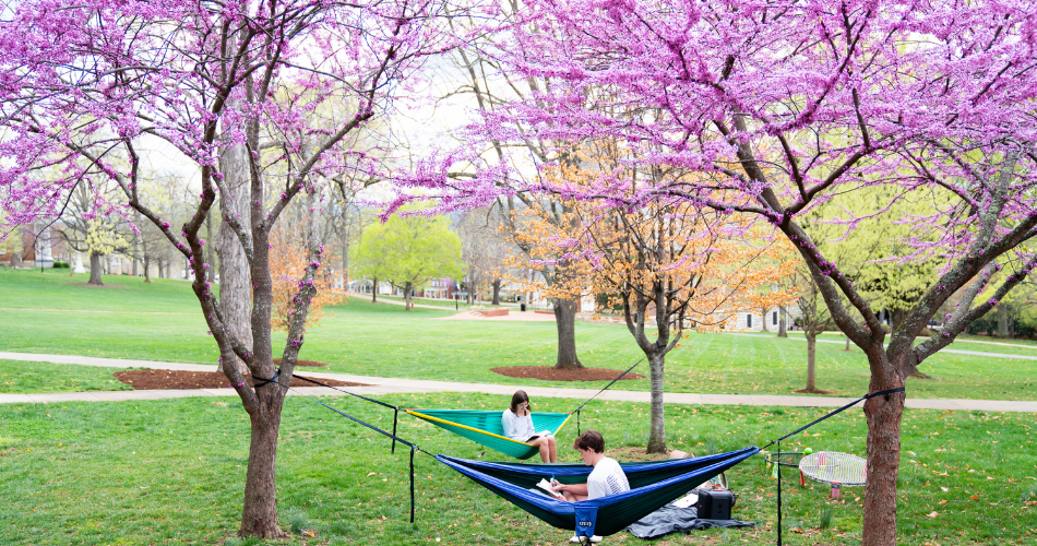 April 2026 Newsletter spring on W&L campus, students in hammocks